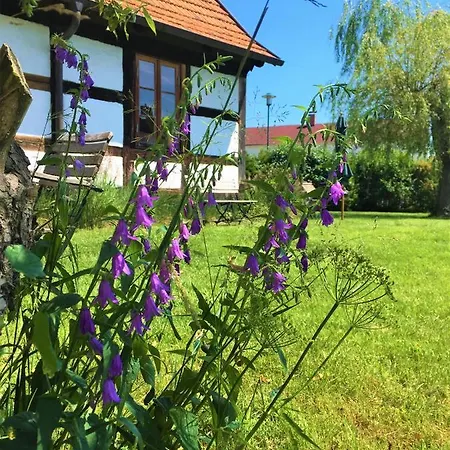 Fischerhaus Godewind 60 Qm * Altwarp