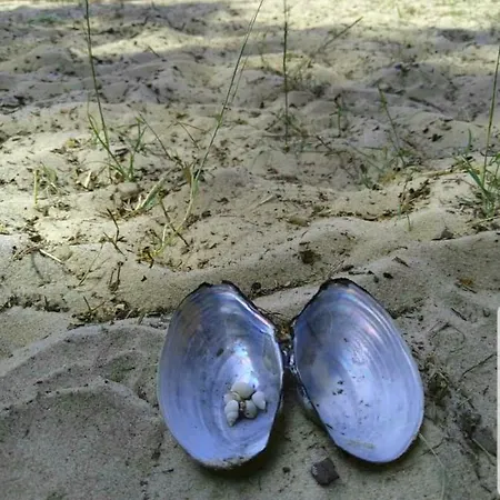 Apartment Fischerhaus Godewind 60 Qm Altwarp