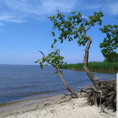 公寓 Fischerhaus Godewind 60 Qm