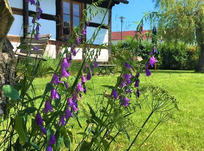 Fischerhaus Godewind 60 Qm * Altwarp