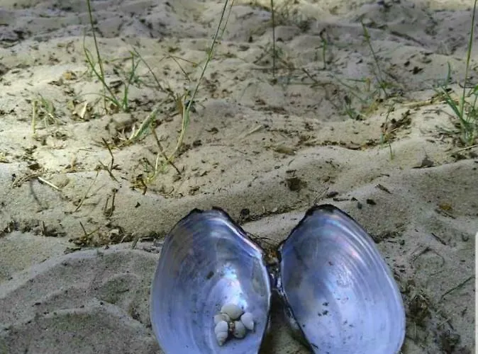 Apartment Fischerhaus Godewind 60 Qm Altwarp